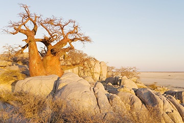 博茨瓦納卡薩內(nèi)機(jī)場三字代碼(BBK),卡薩內(nèi)機(jī)場(Kasane Airport)四字碼,博茨瓦納機(jī)場三字碼查詢