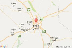 利雅得港口查詢_riyadh港口代碼_沙特阿拉伯利雅得港口代碼